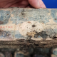 Imagen para el artículo titulado Hace reformas en su tienda y encuentra 1 millón de dólares en billetes de la Segunda Guerra Mundial